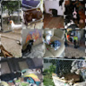 Meet your Posher, Gina